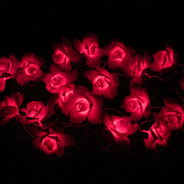 Solar Rose String light